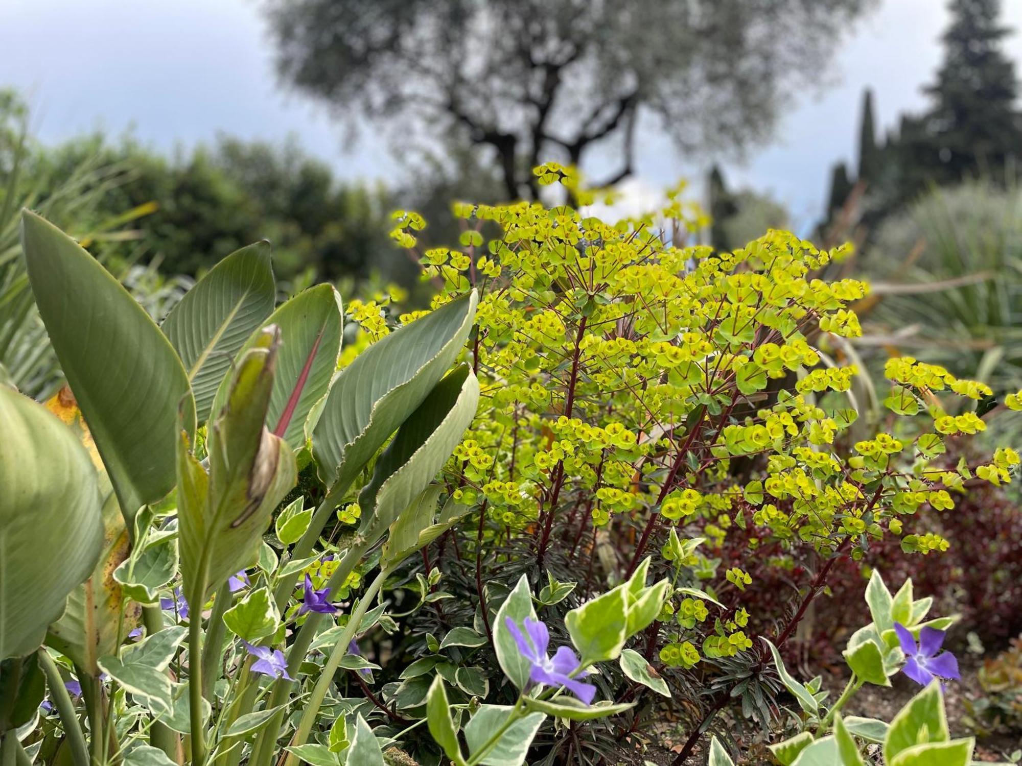 Villa Lou Toscolano Maderno Eksteriør bilde